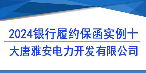 大唐雅安電力開發有限公司,履約保函