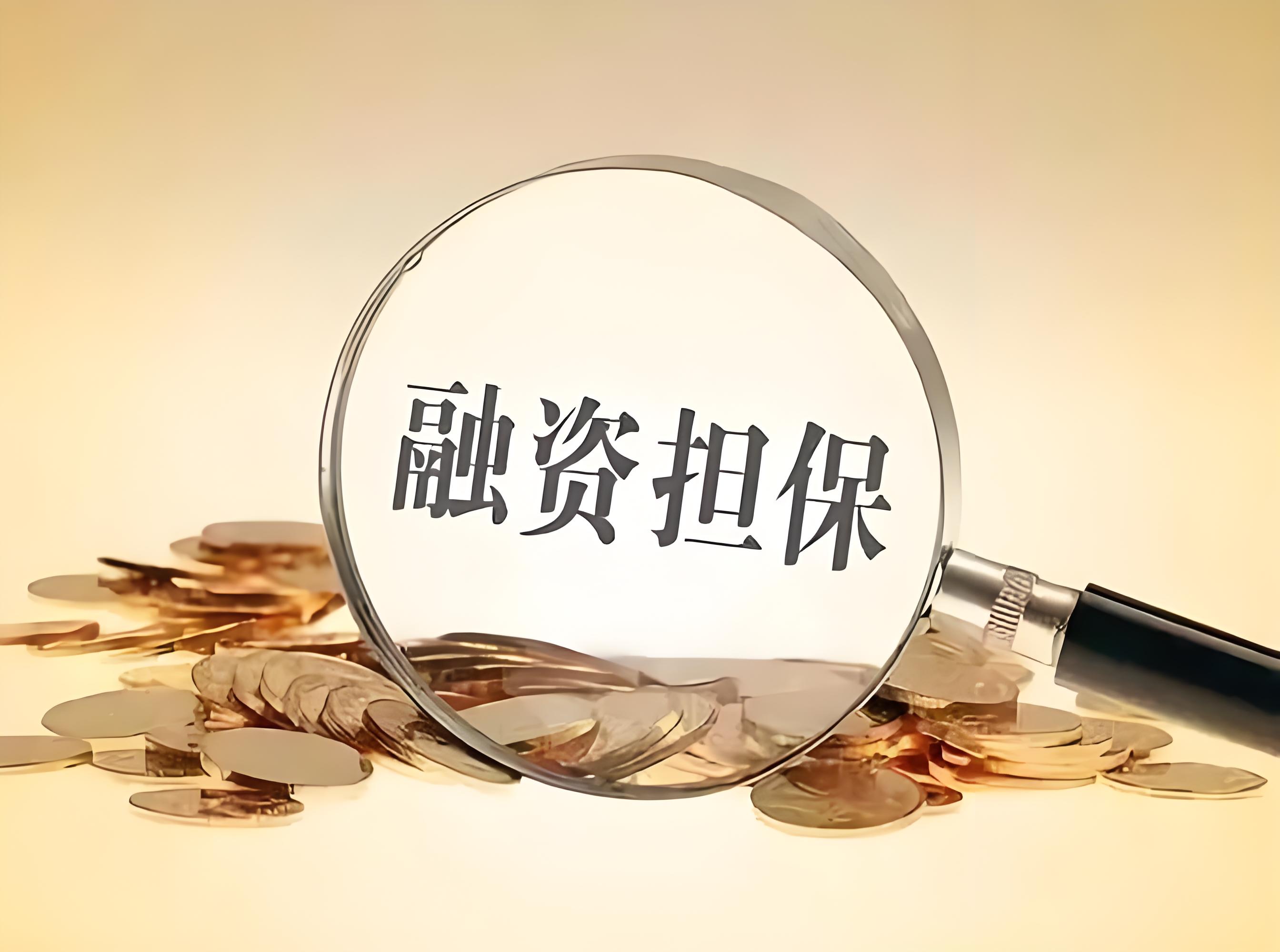 融資性擔保.jpg