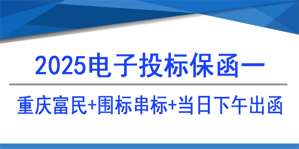 投標(biāo)保函,電子保函,當(dāng)日出函
