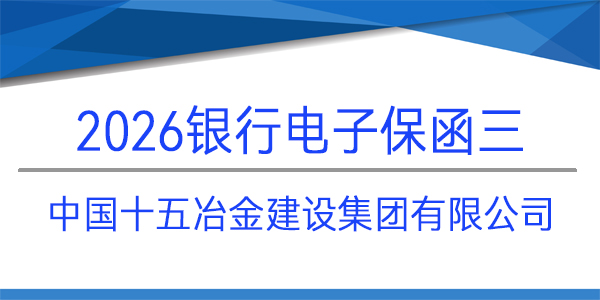 電子投標(biāo)保函,投標(biāo)保函,銀行保函